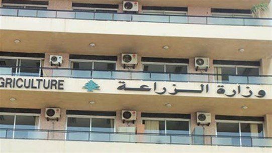 Le ministère de l’Agriculture condamne les attaques israéliennes contre