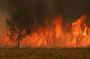 Algérie: 12 morts après des incendies dans le nord-est 