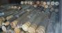 Army Collects Weapons from Palestinian Camps in South