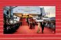 Pourquoi Cannes reste plus fort que l’algorithme