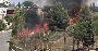 Wildfires Rage in Akkar as Flames Threaten Homes