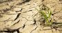 Liban: un pays riche en eau… mais confronté à la pénurie