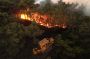 Syria Battles Fierce Wildfires in Latakia for Third Day as Turkey Sends Assistance