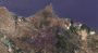 Syria says Wildfires Contained After 10 Days