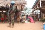 La Centrafrique est devenue une « plaque tournante » du crime organisé, selon une ONG