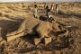 Kenya: un mal mystérieux décime les éléphants