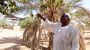 In Sudan, the War Cuts off Water and Kills Agriculture