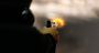 Two Dead in Shooting at Jordan-West Bank Crossing