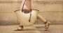From Bardot to Birkin: The Timeless Allure of the Basket Bag