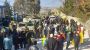 Hezbollah Halts University Stipends for Children of Killed Fighters