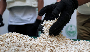 866 Kg of Captagon Seized in Joint Lebanon-Saudi Drug Operation
