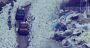 Waste Crisis: Heading Back to the 2015 Chaos?