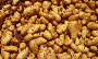Bekaa Farmers Urge Saudi Arabia to Reopen Agricultural Markets