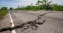 Venezuela: séismes puissants, infrastructures endommagées