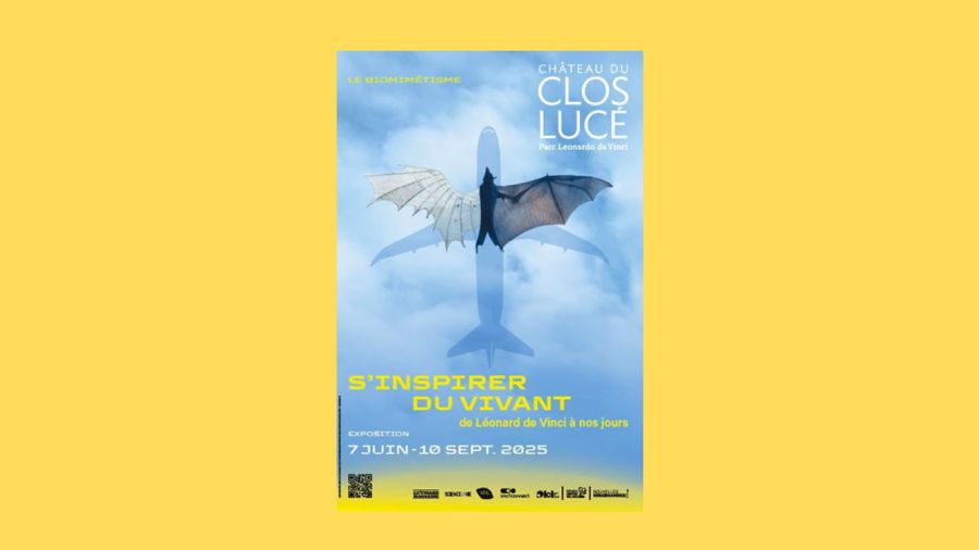 Léonard de Vinci revient à Amboise, chef-d'œuvre en vol