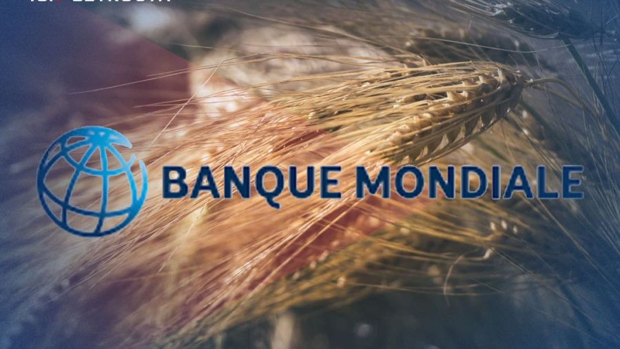 La Banque mondiale soutient l’importation de blé au Liban