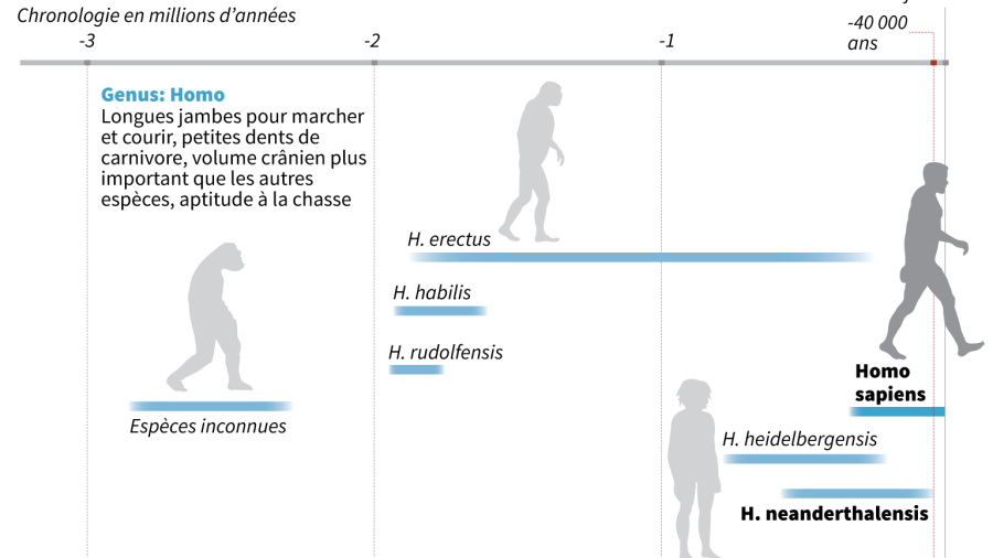 L'Homo sapiens aurait menti sur son âge