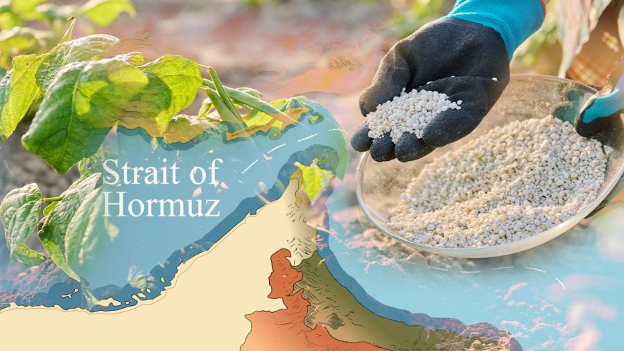 Détroit d’Ormuz: la guerre qui menace les récoltes et notre assiette
