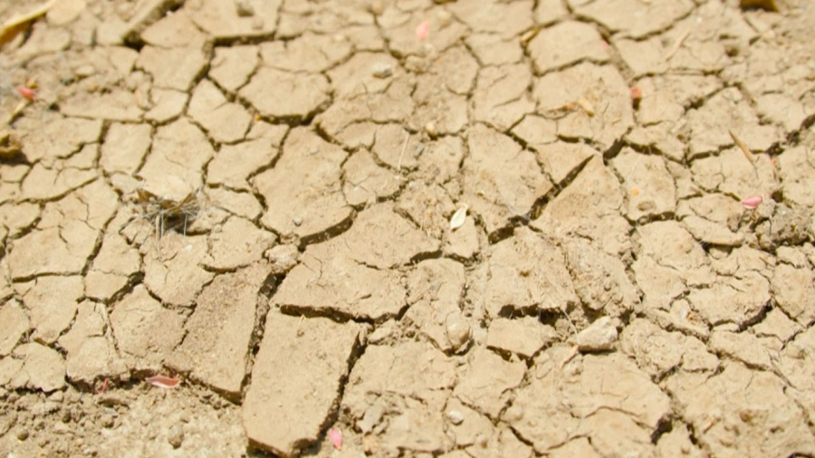 Sécheresse et climat extrême: les agriculteurs indiens à bout