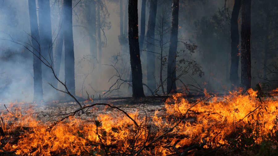Incendie de forêt dans le sud-ouest de l'Espagne, 4.000 hectares touchés