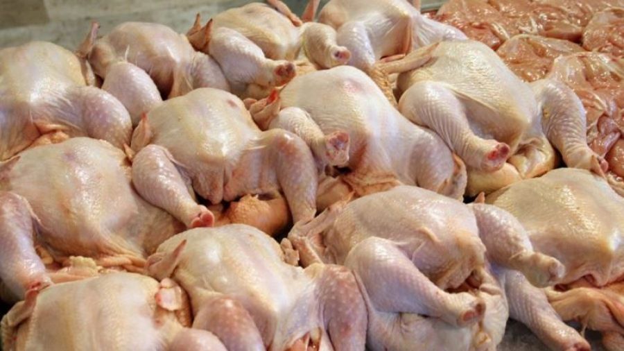 Une tentative de contrebande de 500 kg de poulet avarié déjouée à Qaa