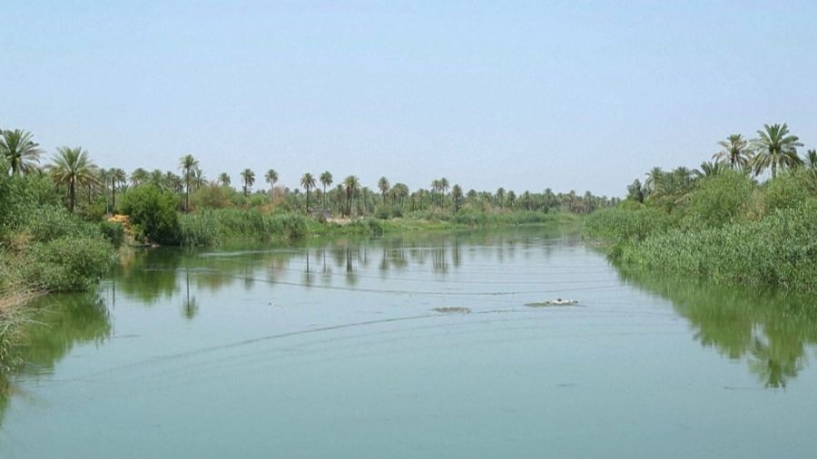 L’espoir renaît dans les rizières du sud de l’Irak