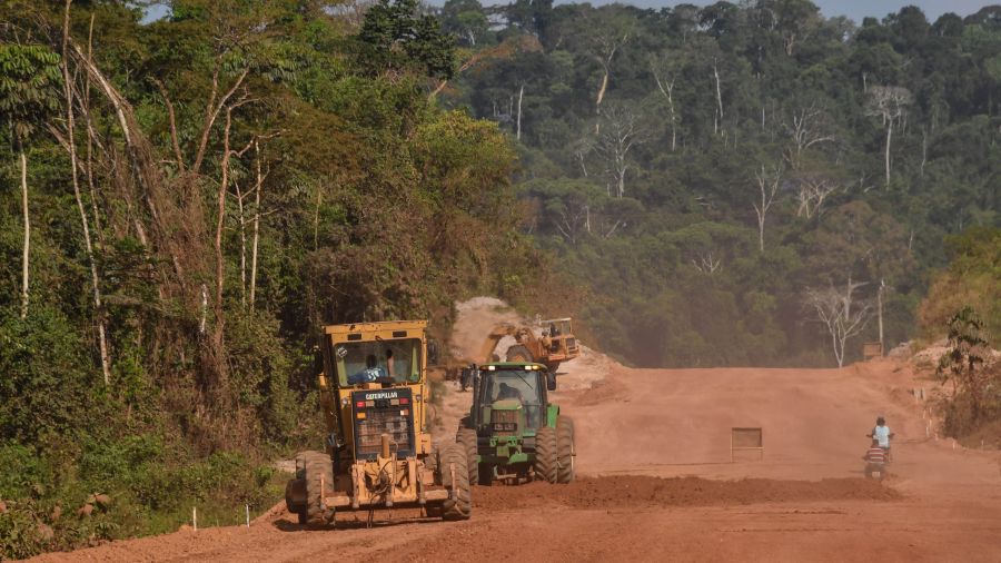 L'Amazonie, un défi de taille pour Lula