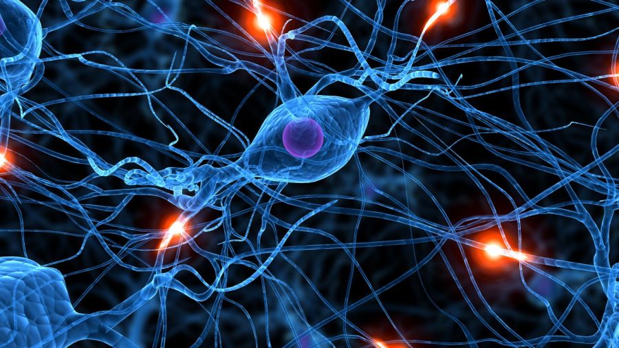 Parkinson au Liban: la maladie qui tremble, le système qui vacille
