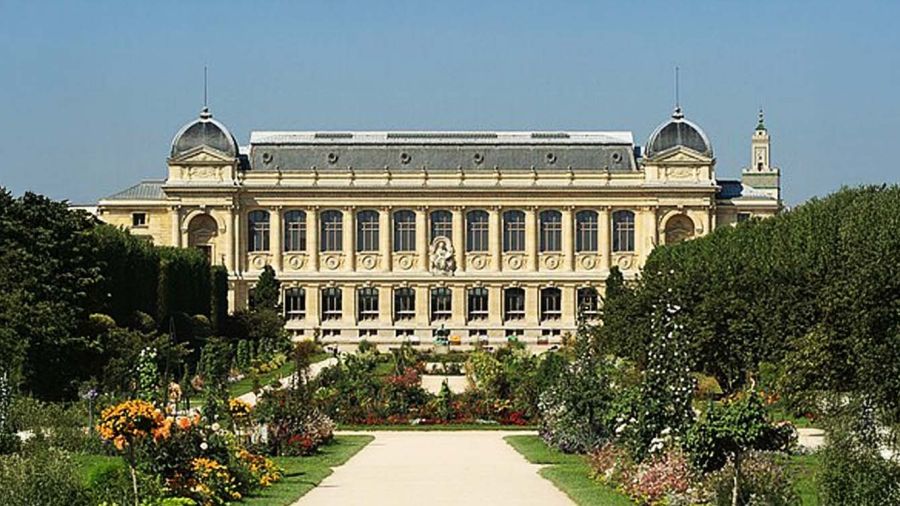 Vol d'or au Muséum d'histoire naturelle à Paris: une Chinoise mise en examen et écrouée