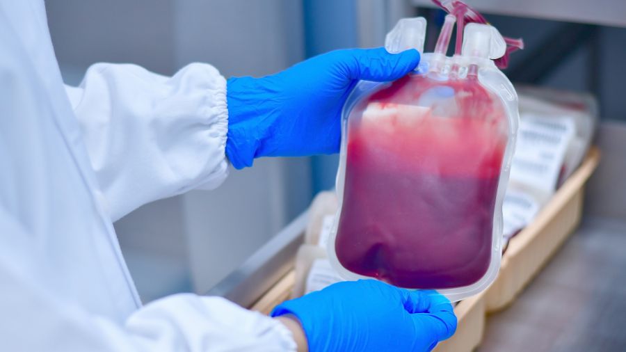 Assurer le sang aux patients: un véritable parcours du combattant!