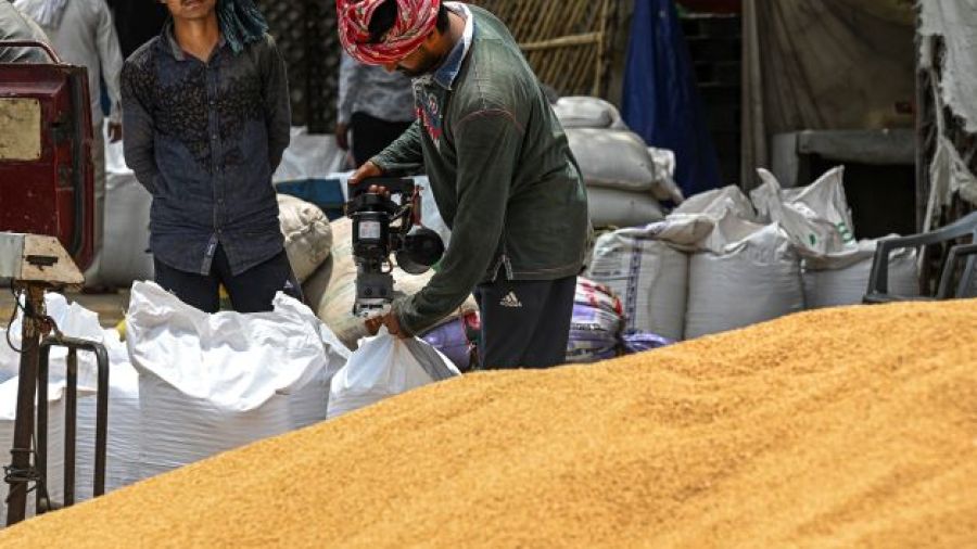 Envolée du prix du blé après l'embargo indien