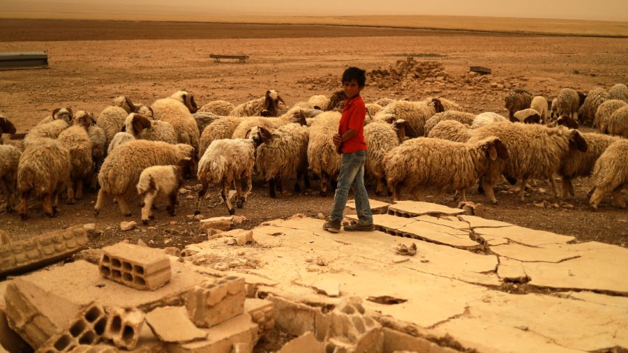 La sécheresse frappe durement l'agriculture syrienne