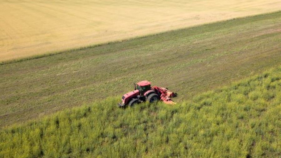 Enfin un accord sur l'exportation des céréales ukrainiennes