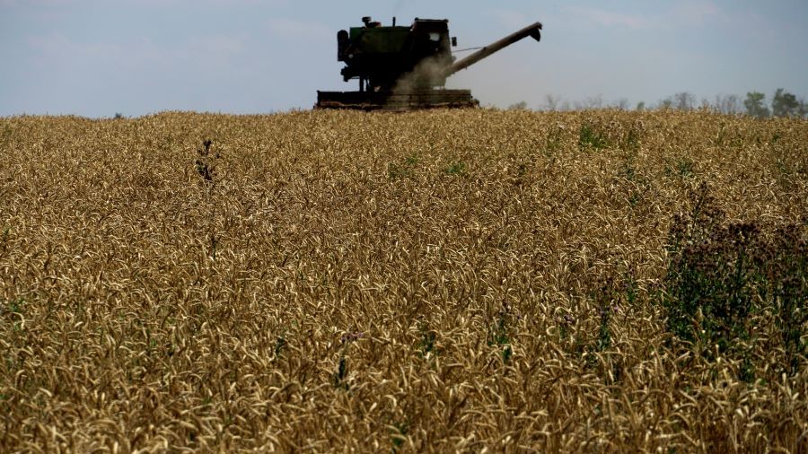 Le marché international des céréales retrouve son équilibre d'avant-guerre