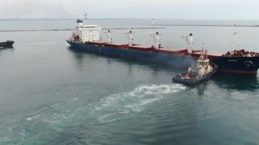 Le premier cargo de céréales d'Ukraine arrive à Istanbul