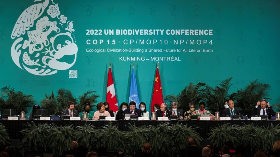 COP15: l'inattendu entêtement chinois pour parvenir à un accord