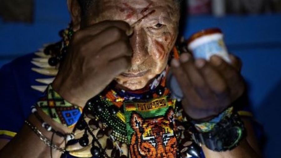 L'ayahuasca: une porte vers un voyage sacré