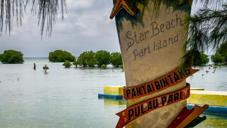 Une petite île indonésienne s'attaque à un géant du ciment