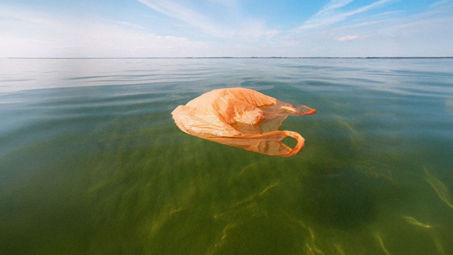 Pourquoi la mer est-elle jaune et verte à Beyrouth ?