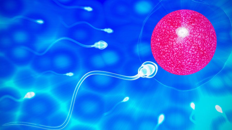 Créer des ovules humains à partir de la peau: jusqu’où ira la science?
