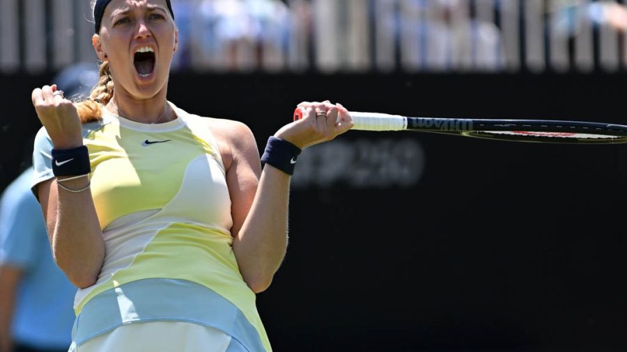 Haddad Maia, le nouveau souffle du tennis brésilien