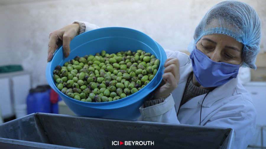 Le secteur agricole libanais n’est pas autosuffisant