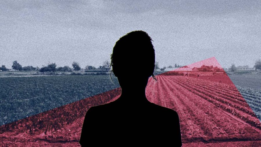 Au Liban-Sud, les femmes passent de l’endurance à la décision