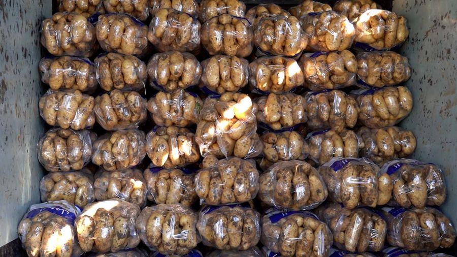 Le marché libanais de la pomme de terre en chiffres
