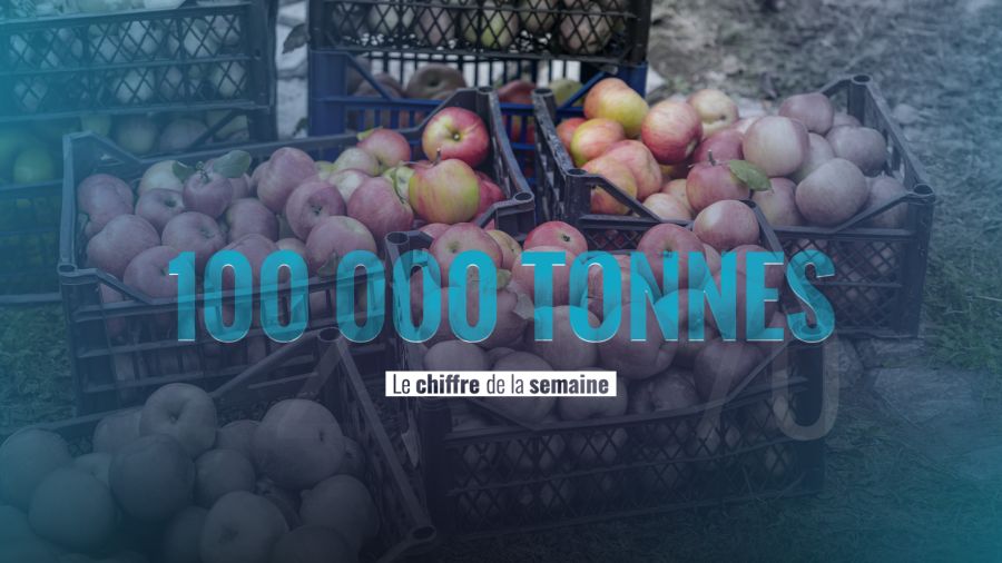 100 000 tonnes de pommes à la conquête des marchés