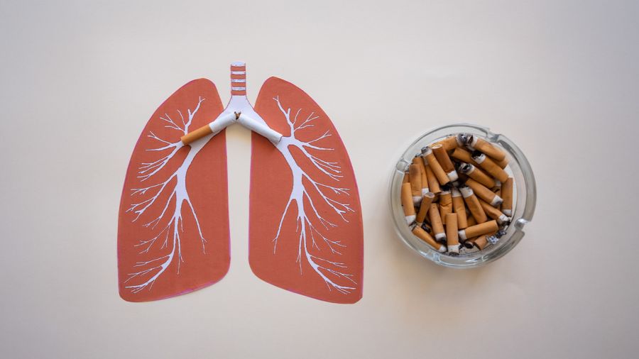 Pourquoi le tabac détruit uniquement certains poumons 