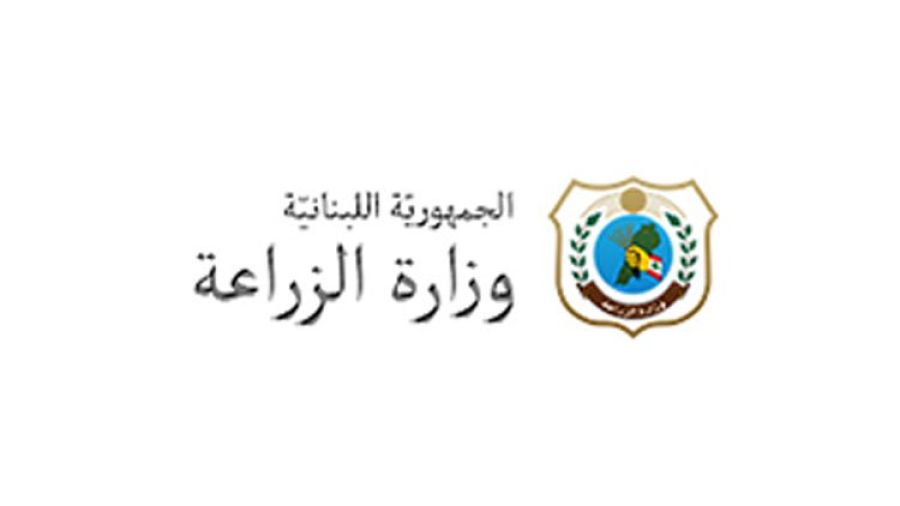 Le ministère de l'Agriculture alerte sur un risque accru de fièvre aphteuse au Liban