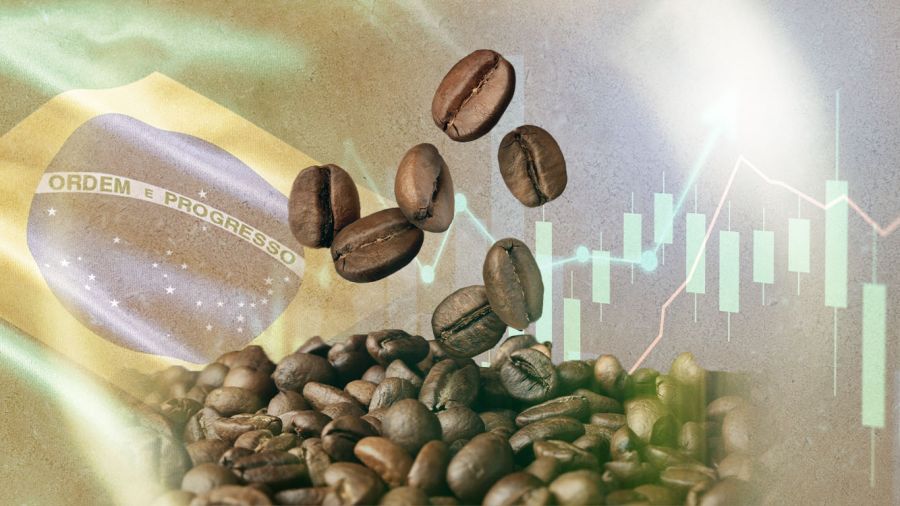 Café: le Brésil pourrait changer la trajectoire des prix