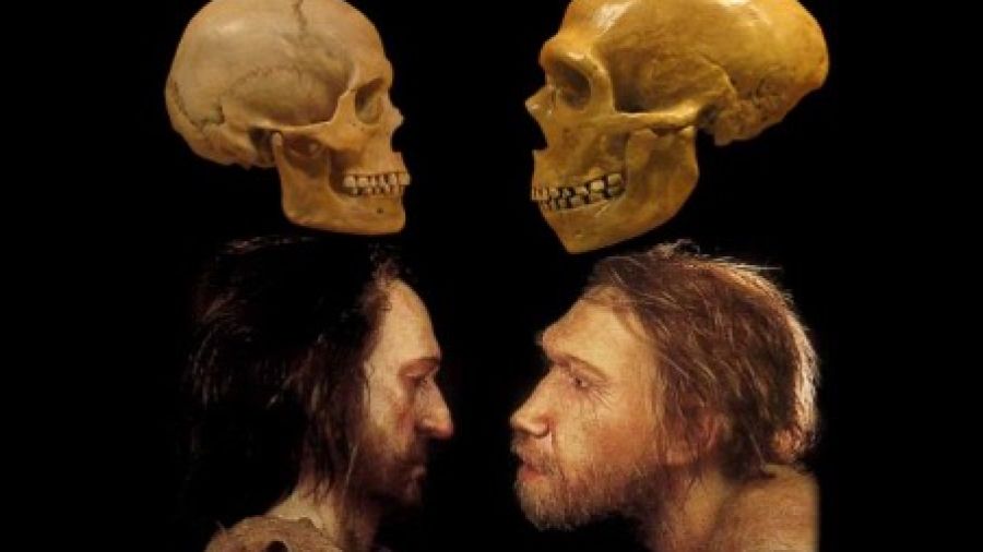 L’homme d’Afrique vs l’homme d’Europe 