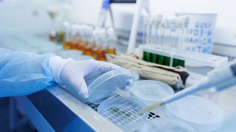 «Bactérie miroir»: et si la prochaine pandémie venait du labo?